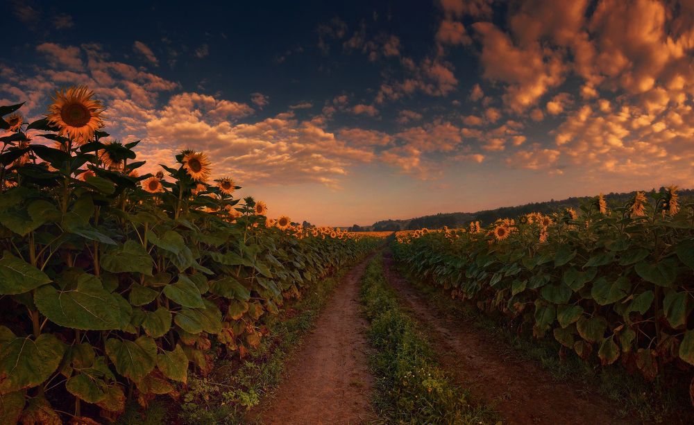 Photograph by Владимир