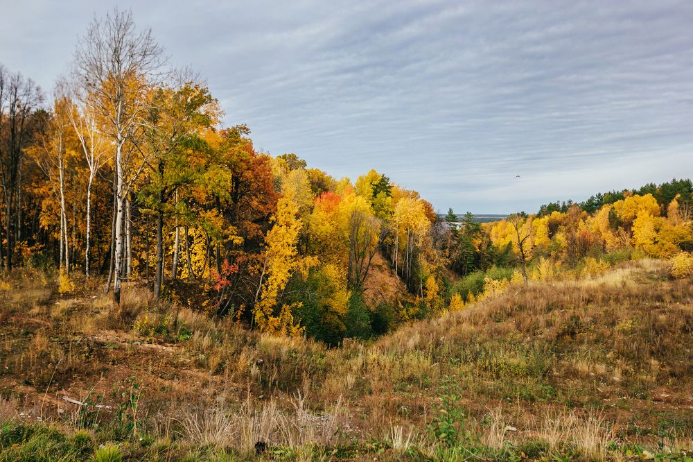Photograph by Мария Фомичева