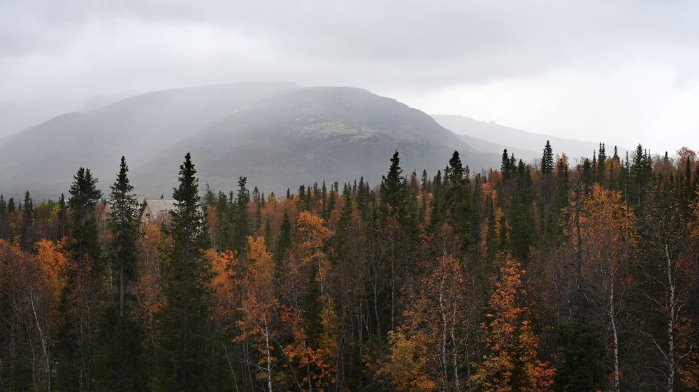 Photograph by Ася Легконогова