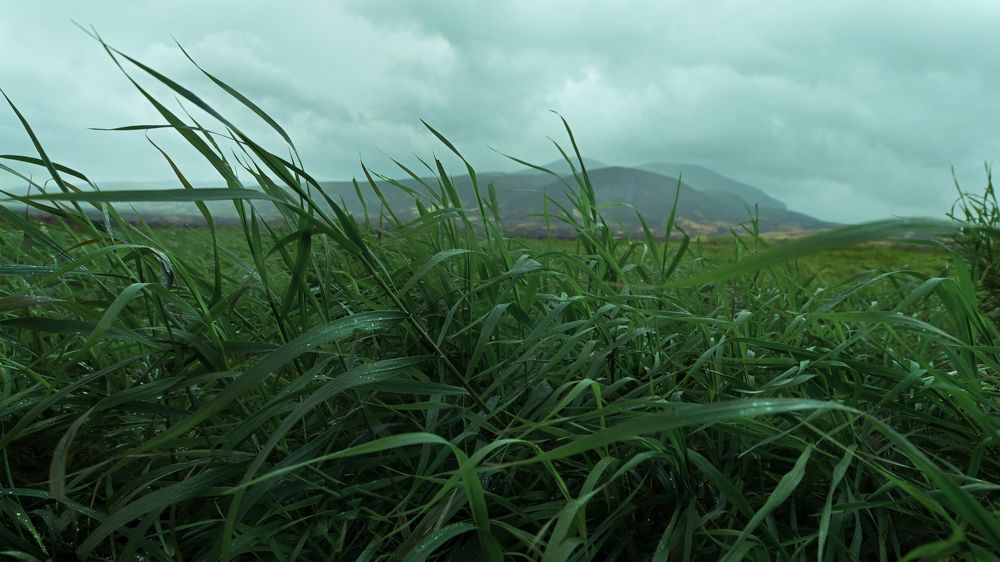 Photograph by Ася Легконогова