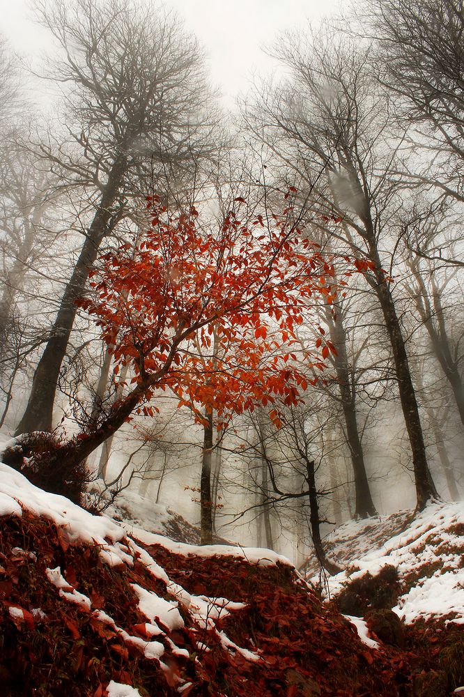 Photograph by 