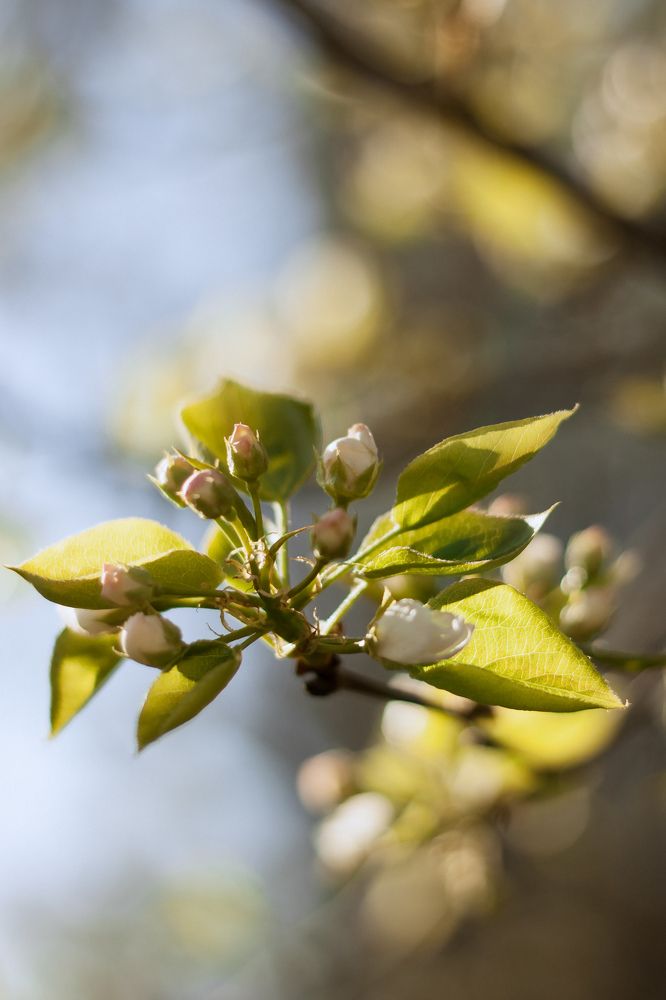 Photograph by Елизавета Дзюбак