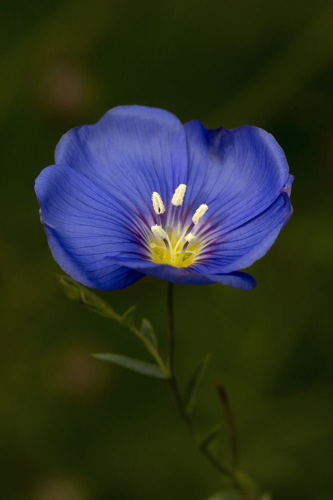 Photograph by Олег Тетерин