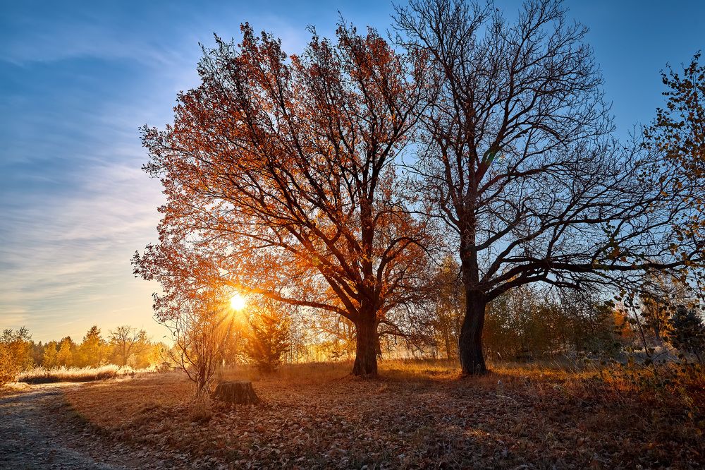 Photograph by Сергей Кочетов