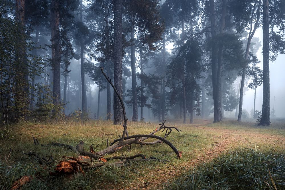 Photograph by Сергей Кочетов