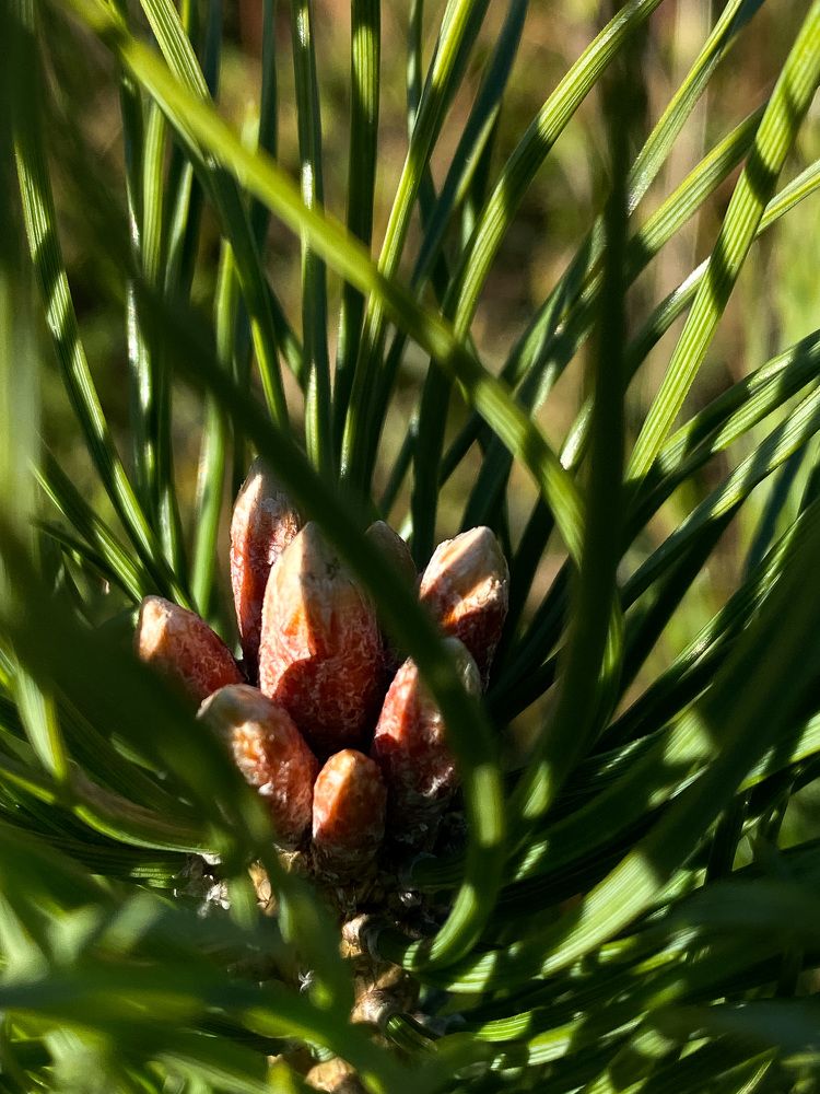 Photograph by Швай Наталья