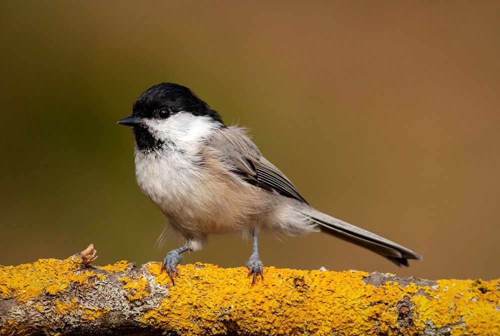 Photograph by Павел Краснослободцев