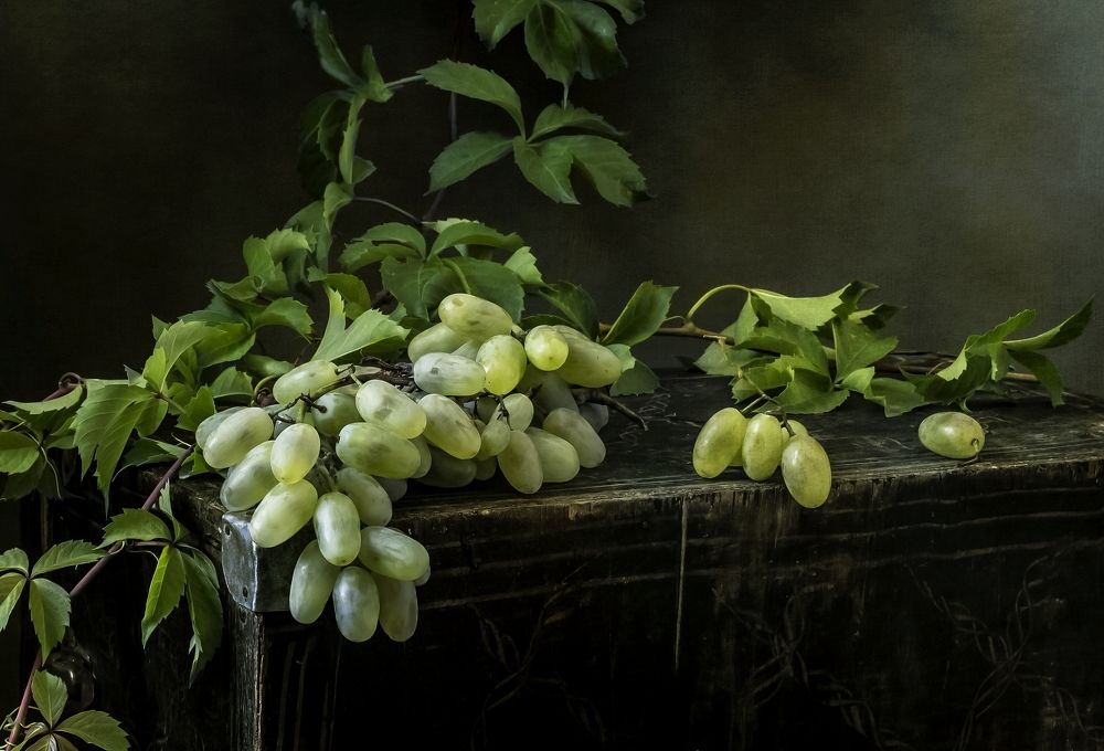 Зеленый винорад