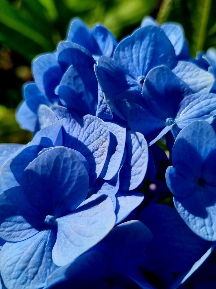 Photograph by Hanna Bourne