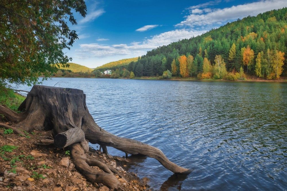 Photograph by Стас Неклюдов