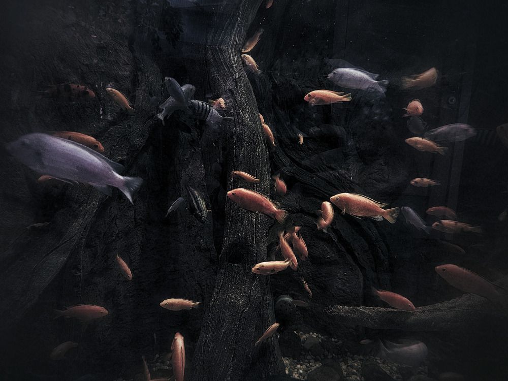 Photograph by Павел Стаценко