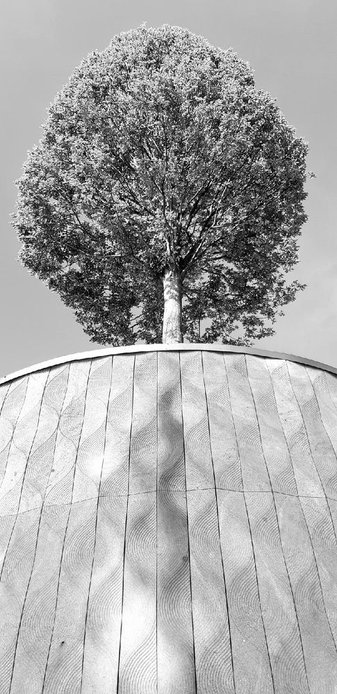 Фотография автора Ольга Мусина