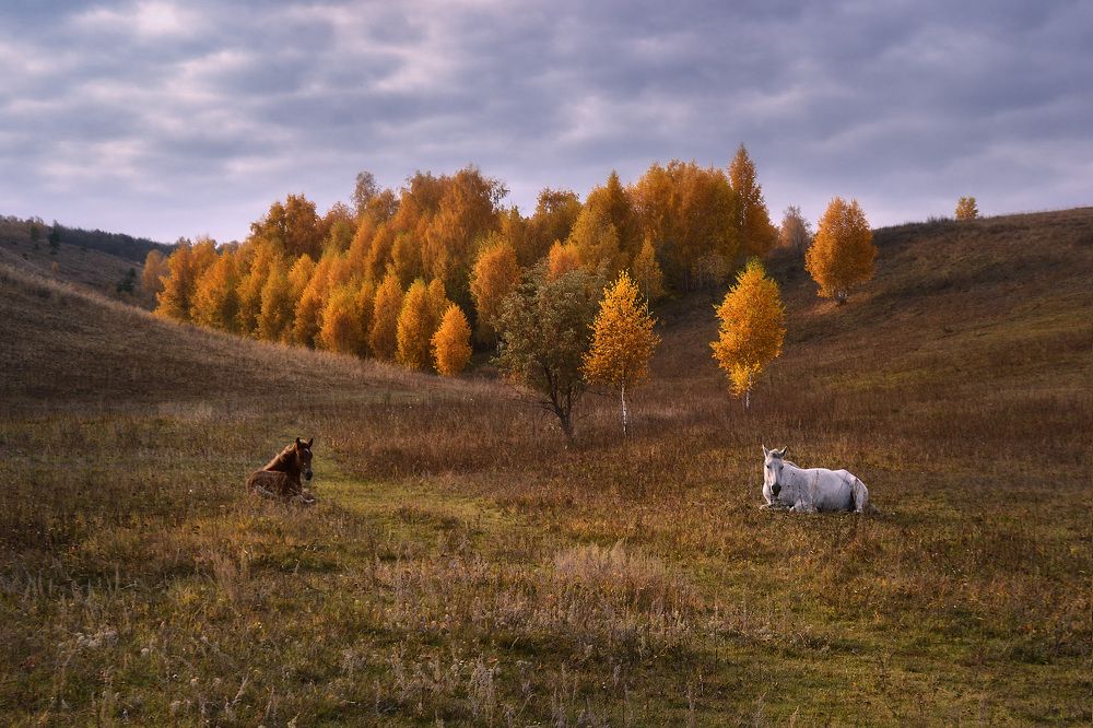 Пришла осенняя грустинка...