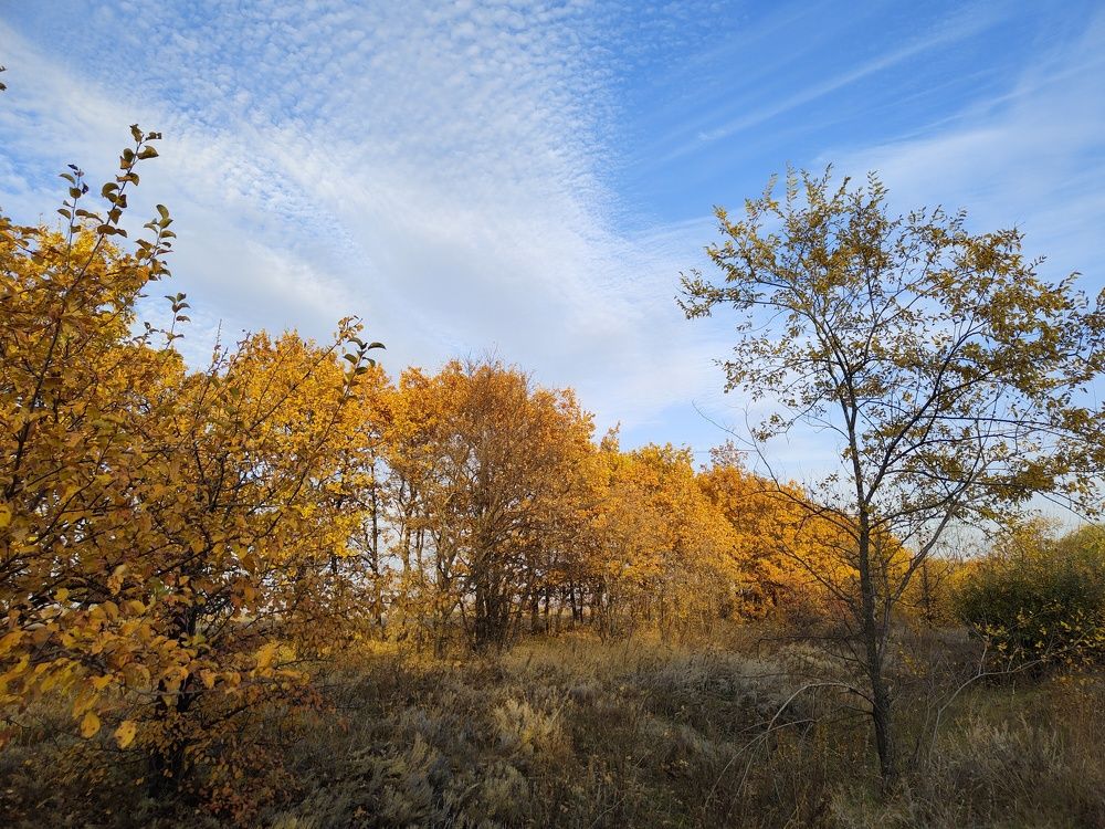 Photograph by Дмитрий Головко