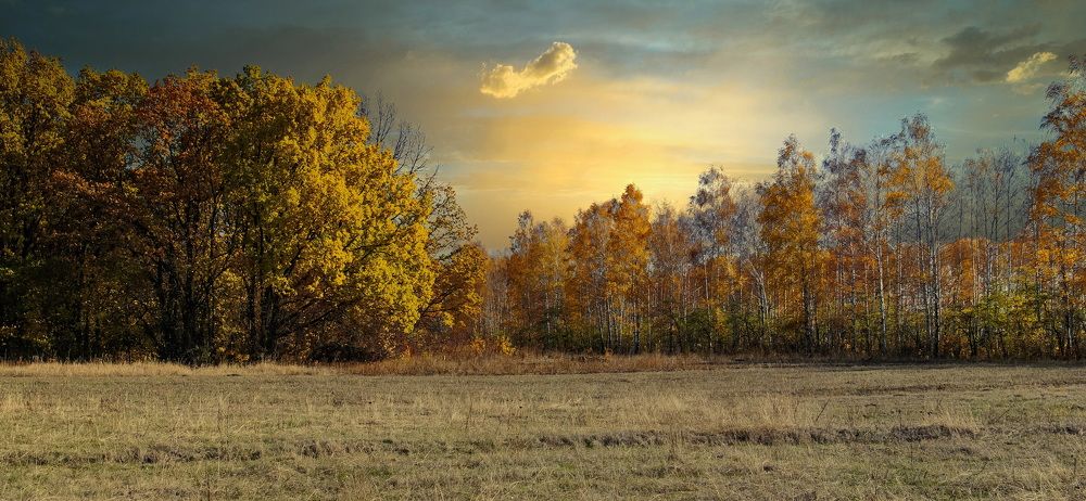 Photograph by Михаил Фролов