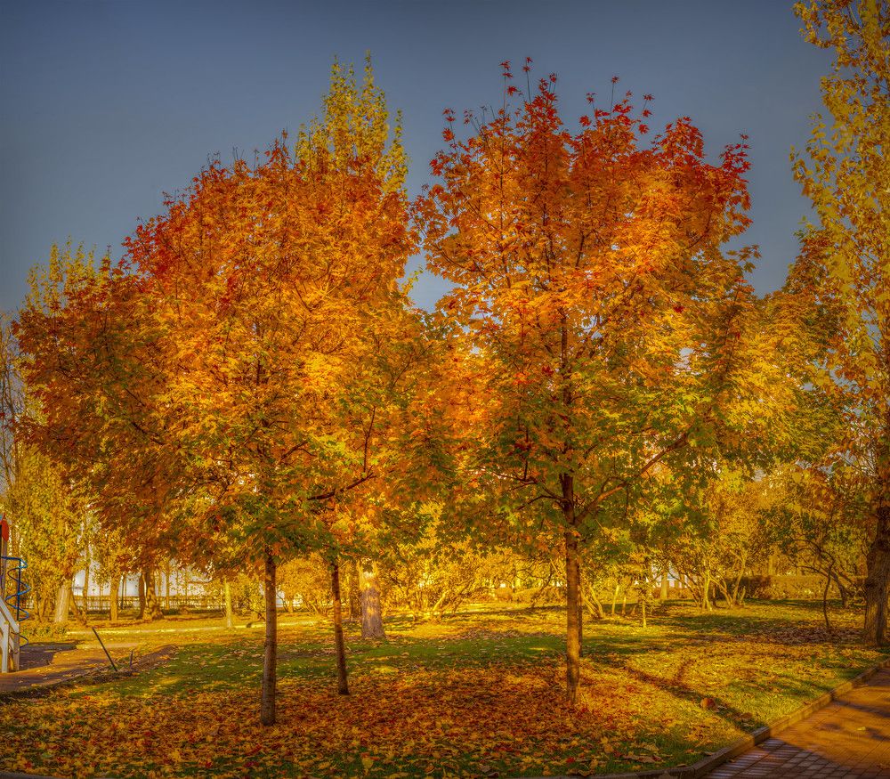 Photograph by Serguei Boukarev