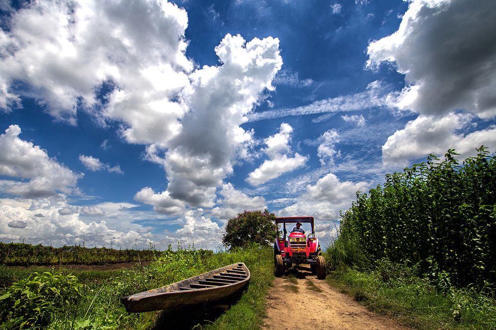 Photograph by Sudipta Das