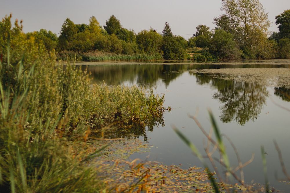 Photograph by Татьяна Соколова