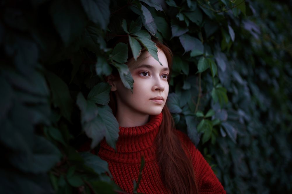 Фотография автора Шатохин Илья