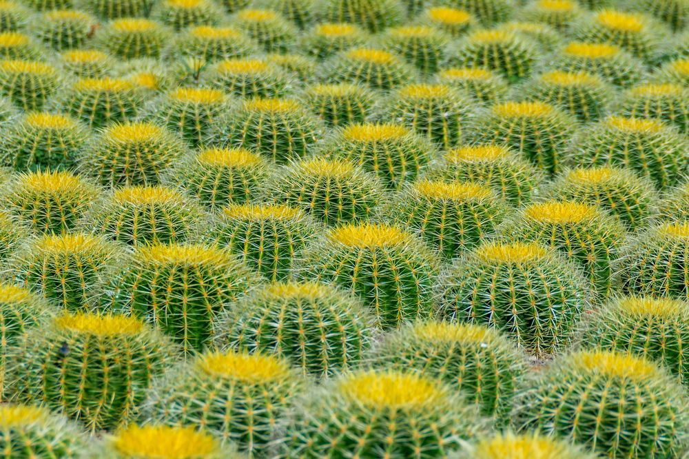 Photograph by Андрей Симонов