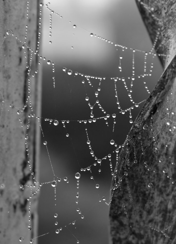 Photograph by Галина Купцова