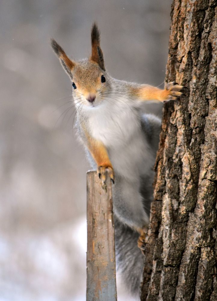 Photograph by Галина Купцова