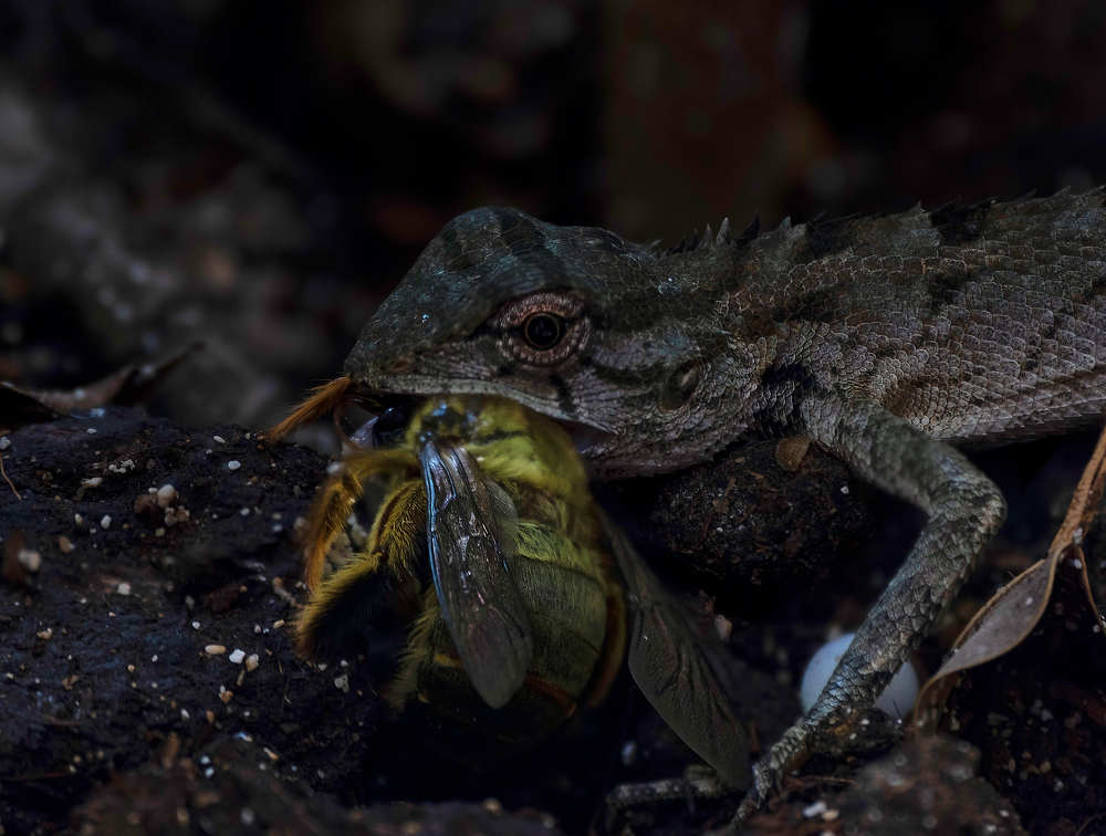 Photograph by Дмитрий Емельянов