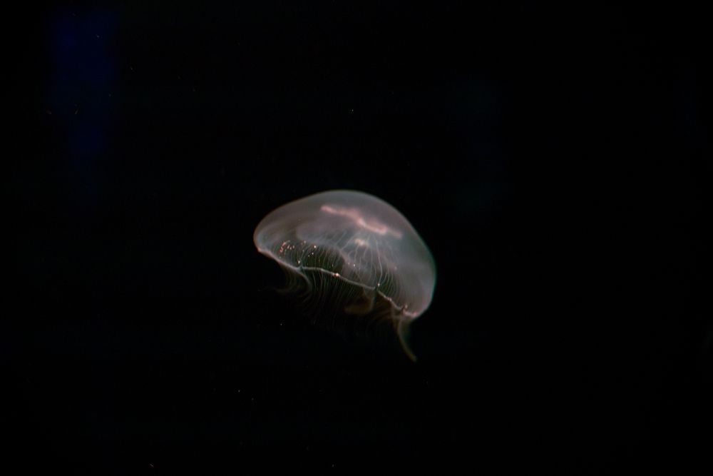 Photograph by Наталья Сенотрусова