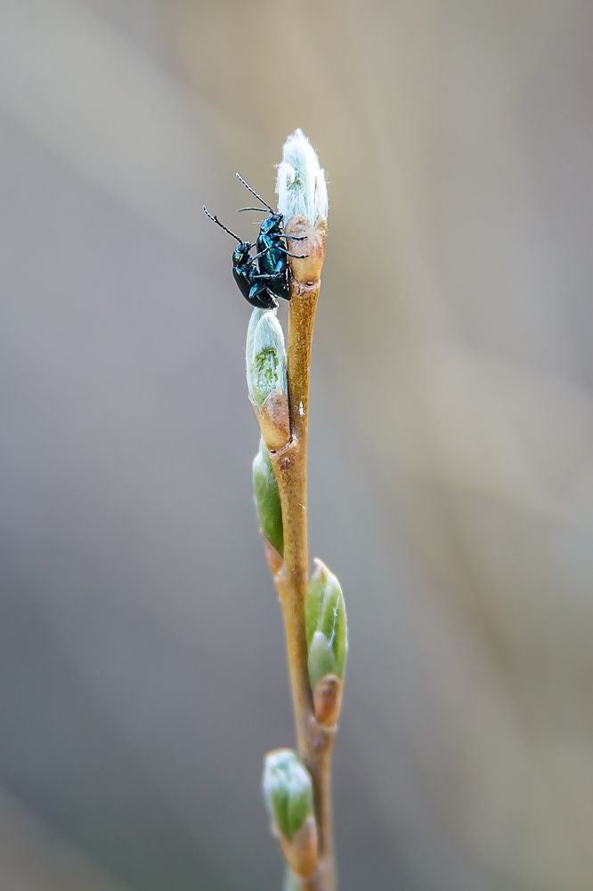 Photograph by Алексей Трифонов