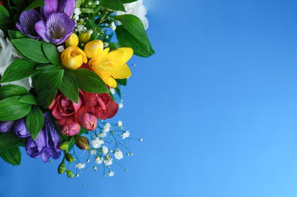 Photograph by Ольга