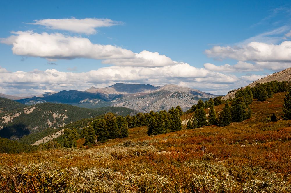 Photograph by Ирина Шерина