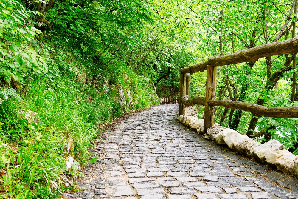 Photograph by Ilja Enger-Tsizikov