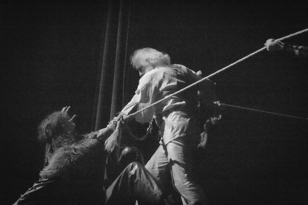 Фотография автора javad