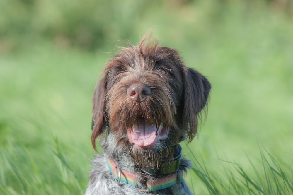 Photograph by Никита Павлов