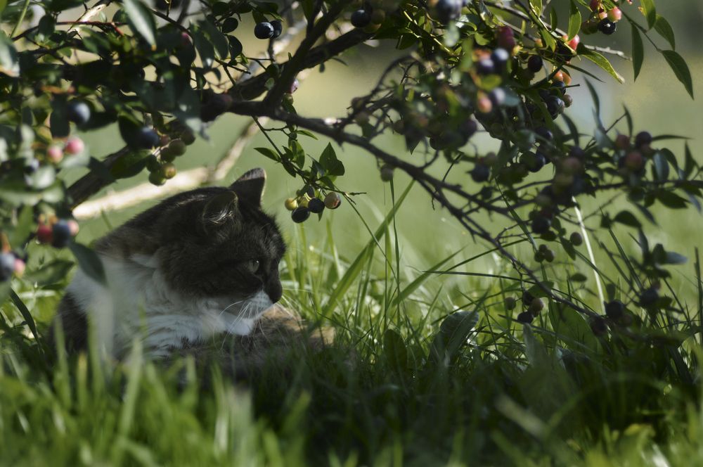 Photograph by Татьяна Ларина