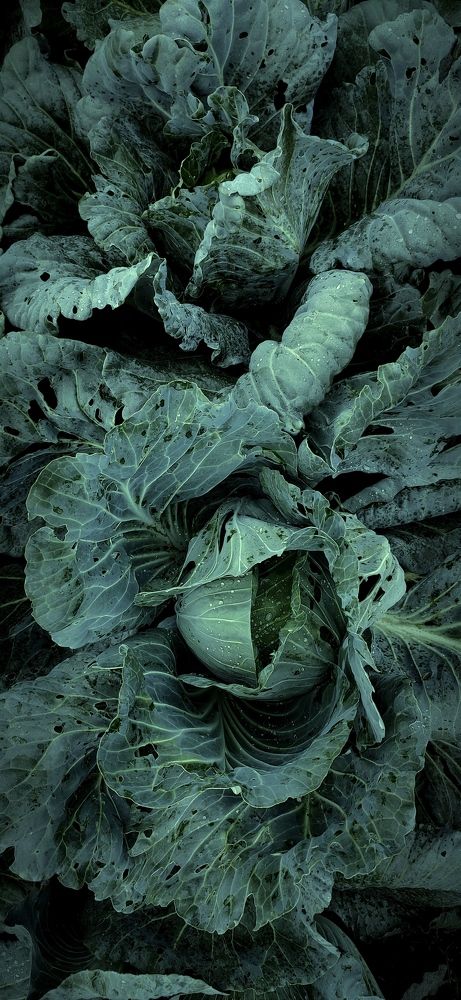 Photograph by Екатерина Якимова