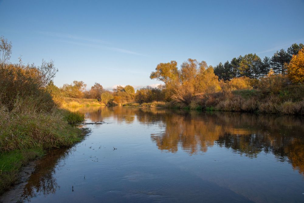 Фотография автора Геннадий Коробов