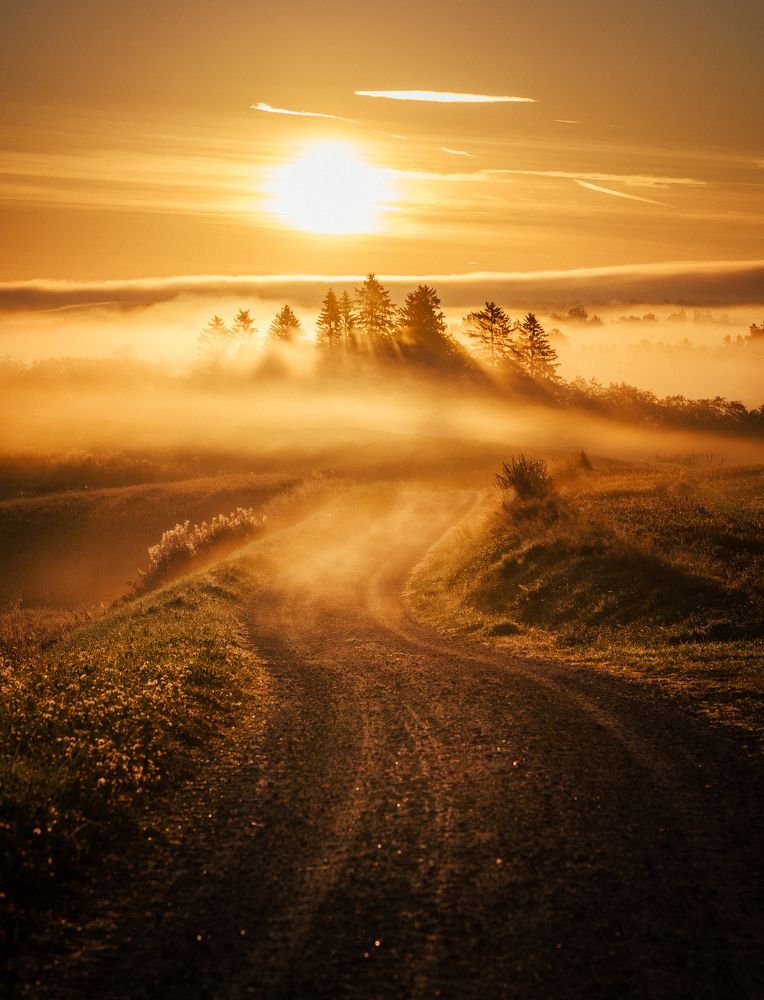 Photograph by Anna Drab