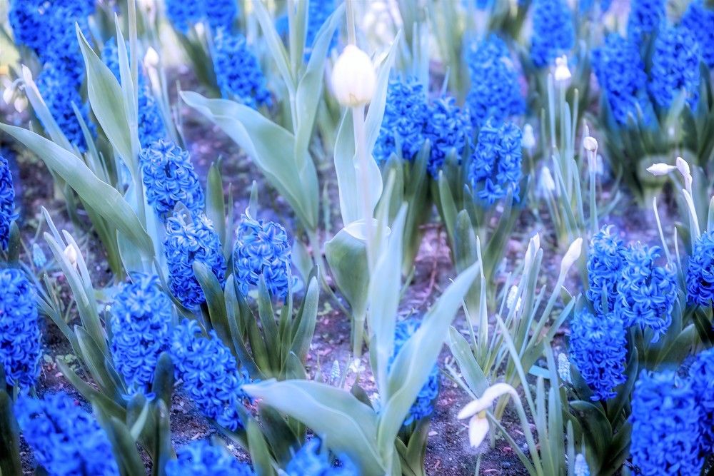 Photograph by Igor Bastrygin