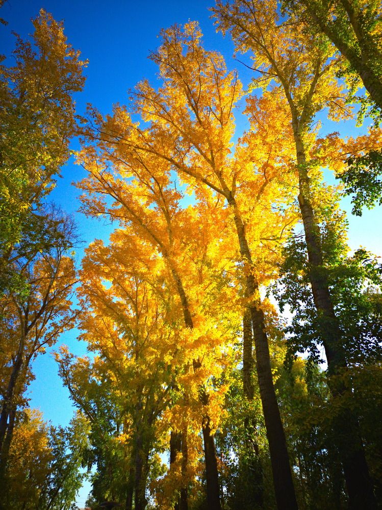 Photograph by Андрей Лебедев