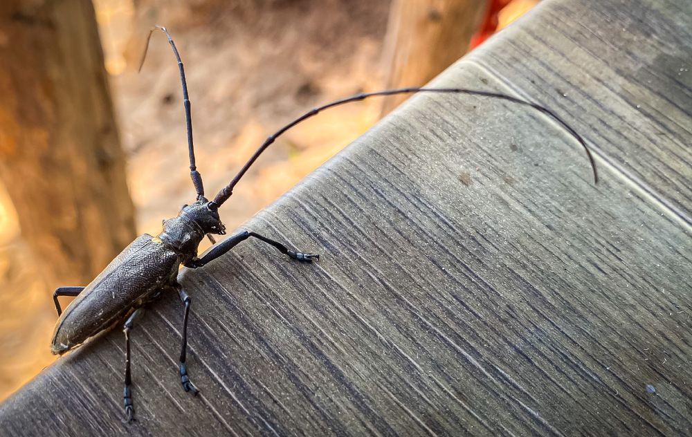 Фотография автора Евгений Кузнецов