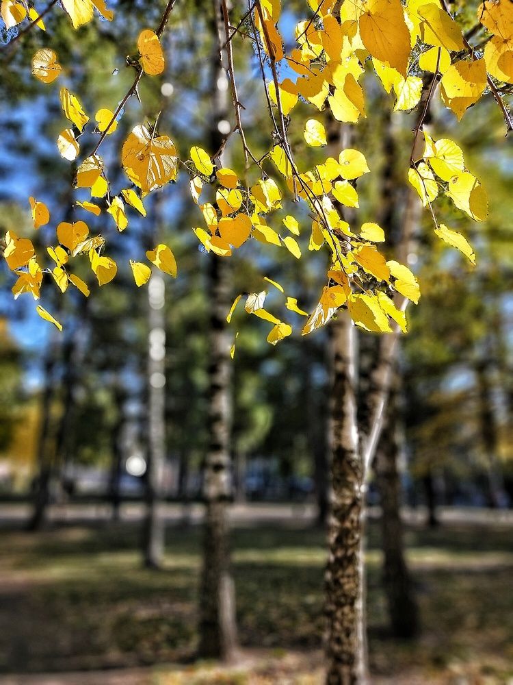 Photograph by Ольга Мартьянова