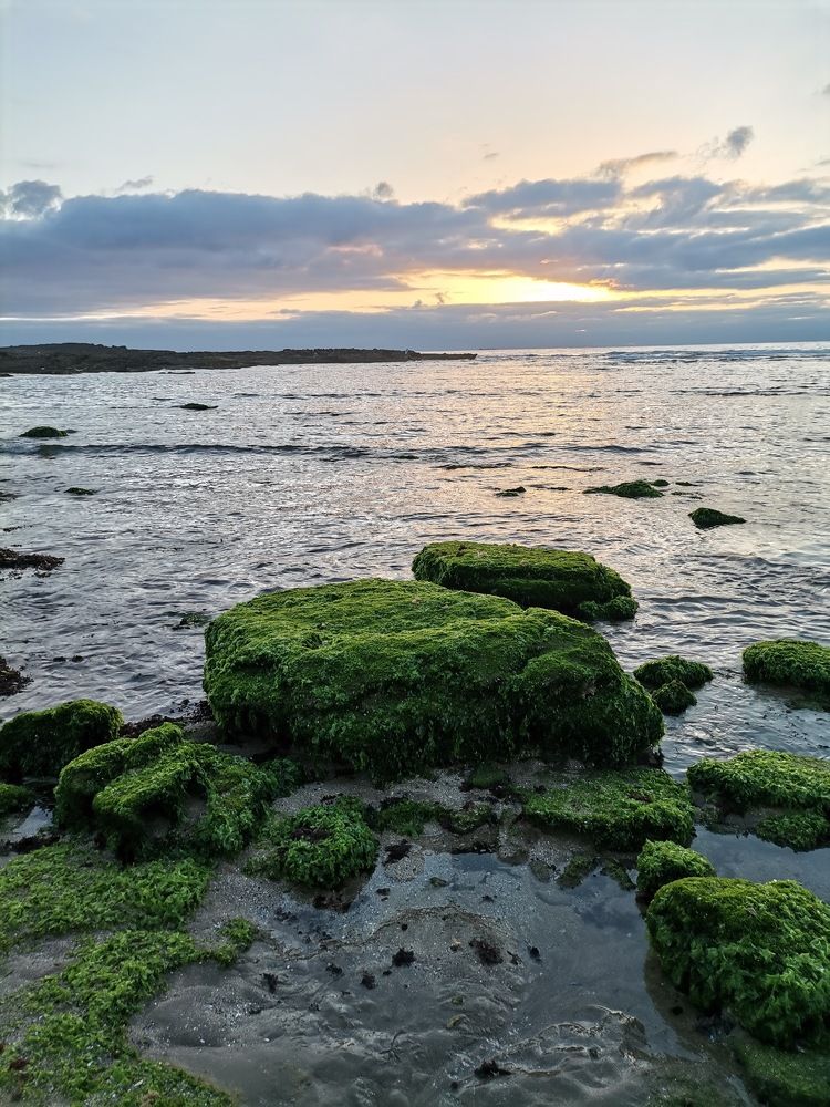 Photograph by Fatima-Zahra Moufaddal