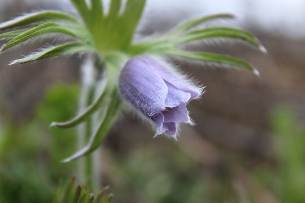Photograph by Михаил Мархинин