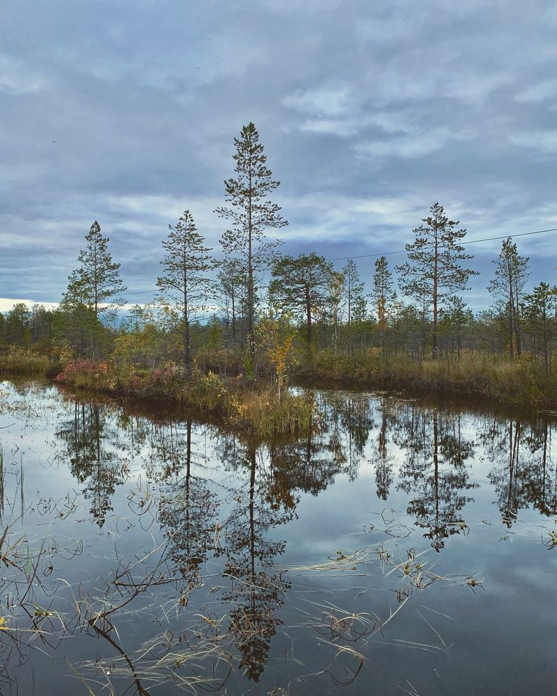 Осенний мотив