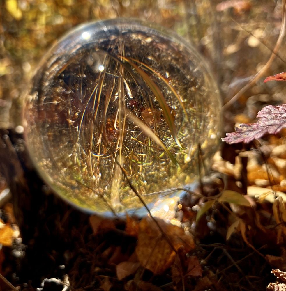 Photograph by Елена Мизина