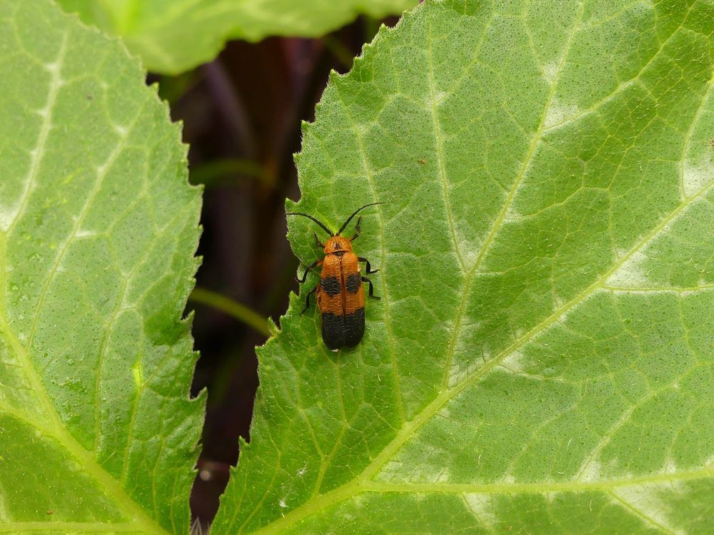 Photograph by Lucía Ruiz