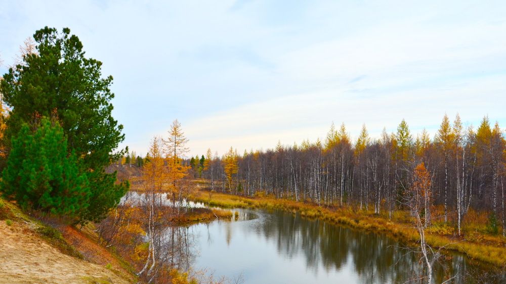 Фотография автора Мария Черница
