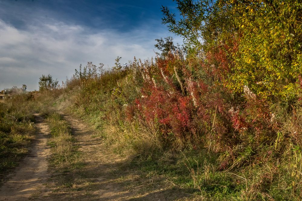 Фотография автора Наталья Соболь