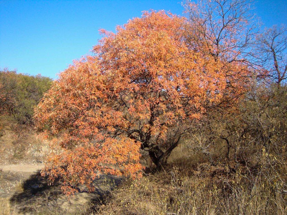 Photograph by Lucía Ruiz